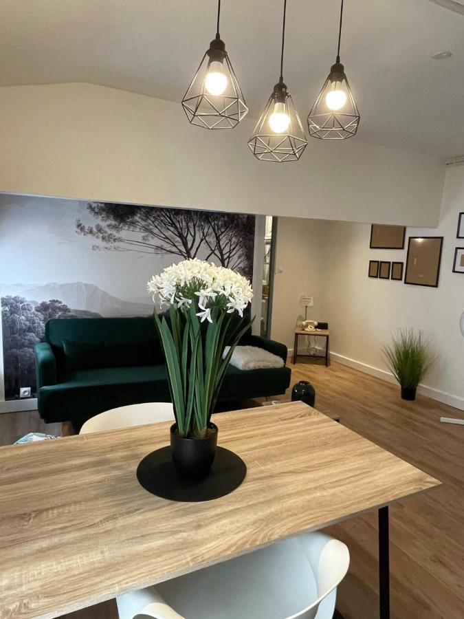Magnifique Appartement Au Coeur De La Ville Béziers Exterior foto